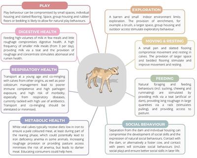 The future of surplus dairy calves – an animal welfare perspective